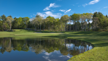 Meadow Brook