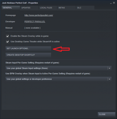 launch_options.png