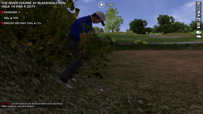 PairUp9 Hole 14.png