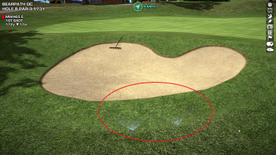 2021-08-01 20_14_38-Perfect Golf.png