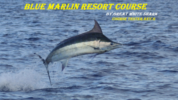 Blue Marlin Resort GC