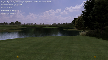 Eagle Eye (Animations)