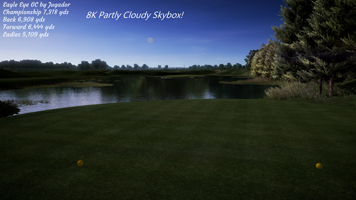 Eagle Eye Partly Cloudy