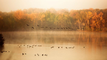 Fall Lakes