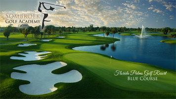 Florida Palms GR Blue