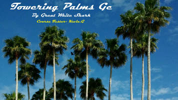 Towering Palms