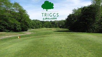 Triggs
