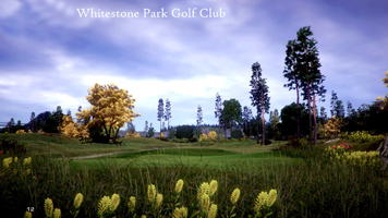 Whitestone Park Golf Club