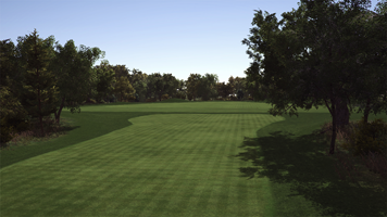 Woody's Practice Area